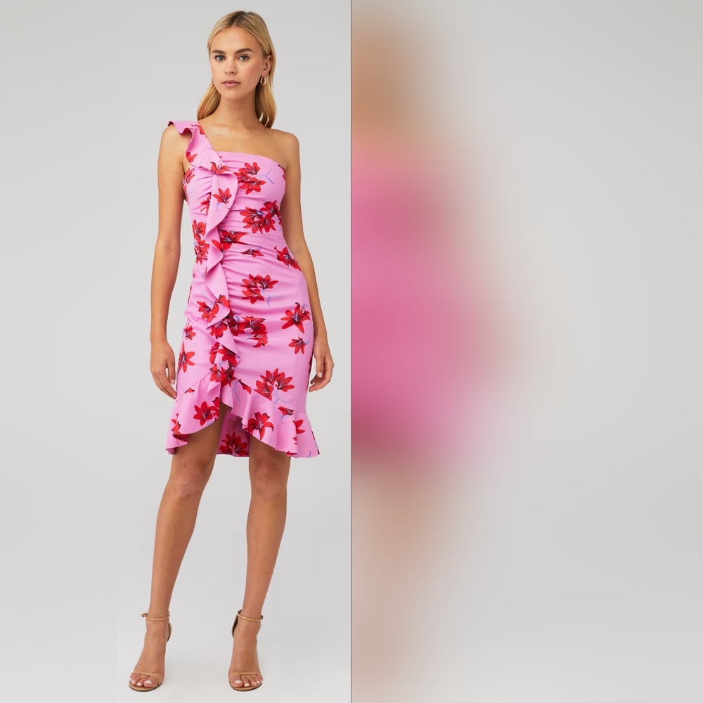 Lively LOIS DRESS Link & Red Floral Mini Dress  Retail: $188 00